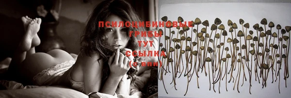 гашиш Богородск